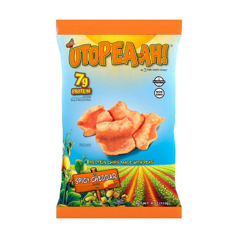 PROT CHIPS SPICY CHEDDAR 4OZ