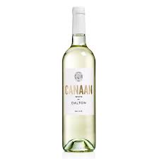 DALTON CANAAN SERIES WHITE CANAAN 2023 - MEVUSHAL