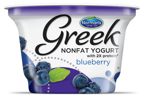 GREEK NONFAT YOGURT BLUEBERRY